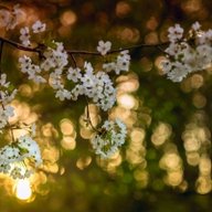 Анастасия_М