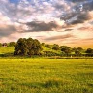 Калентьева Д