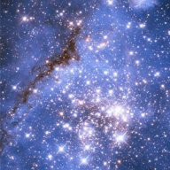 Суровяткина С