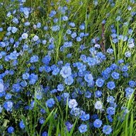 О_Путырская