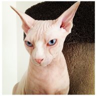 Ю_Баштакова