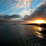 Бедокурова Д