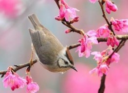 Ж_Колбасицкая