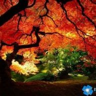 МаргаритаИ