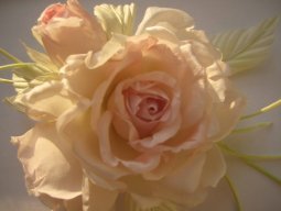 Нигматуллина С