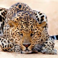 З_Уральцева