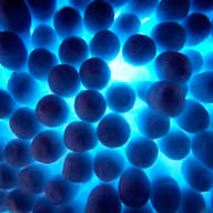 Т_Мечковская