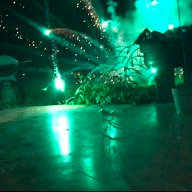 Стародубова А