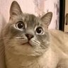 abzalilova97