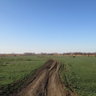 Сащенко К