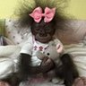 Чунарева А