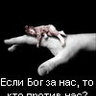 k_alesya