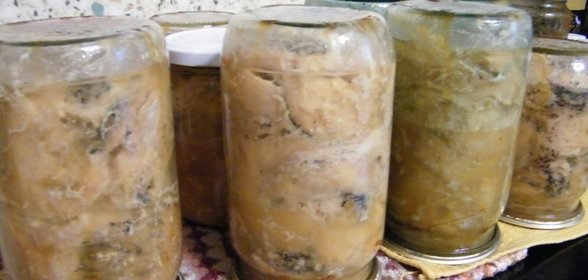 Консервы из толстолобика