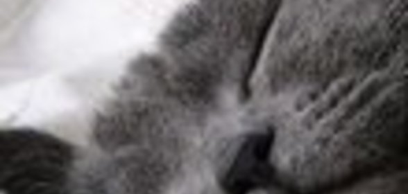 Бутерброды «Домино»