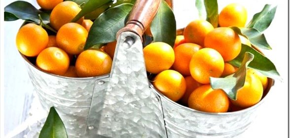 Варенье из кумквата