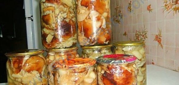Грибы песчаники маринованные