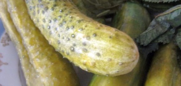 Бараньи шницели с сыром