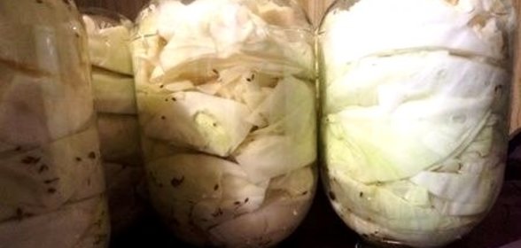 Капуста на зиму кусочками