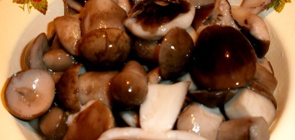 Маринованные подберезовики на зиму