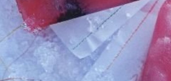 Баклажаны квашеные с чесноком