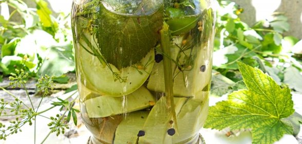 Вкусные маринованные кабачки на зиму