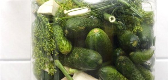 Малосольные огурцы с укропом