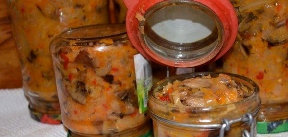 Солянка из квашеной капусты с грибами на зиму