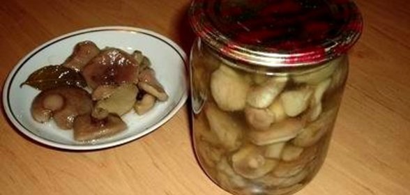 Соленые маслята на зиму