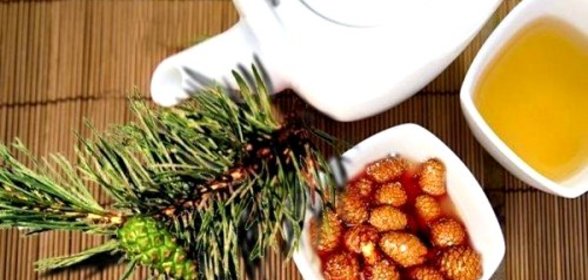 Варенье из еловых шишек