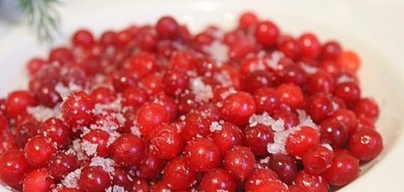 Замороженная калина