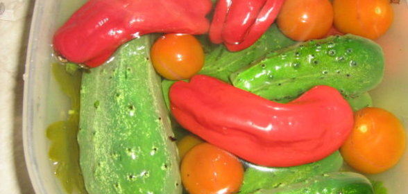 Шашлык из скумбрии