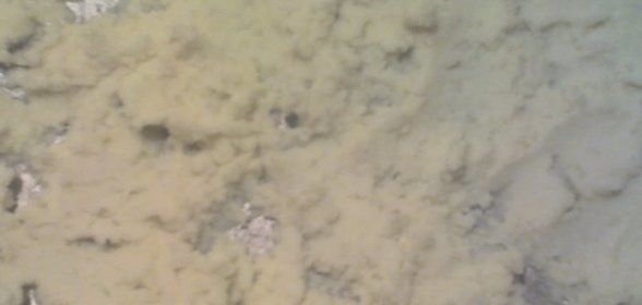 Седло барашка в маринаде