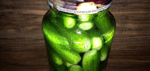 Соленые огурцы холодного засола