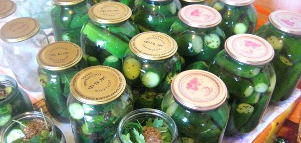 Огурцы маринованные