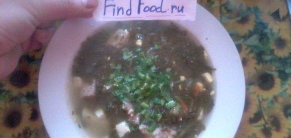 Зеленый борщ из консервированого щавля