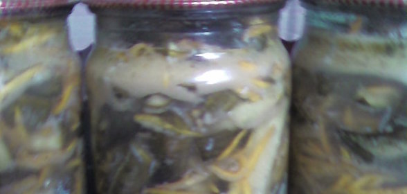 огурчики с морковкой по-корейски