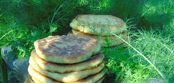 Плэчинта на пикник