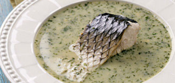 Укропный суп из кефали