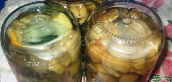 Белые грибы маринованные на зиму