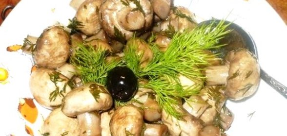 Быстрые маринованные грибы