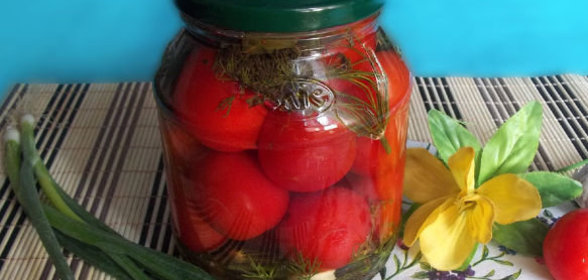 Малосольные помидоры