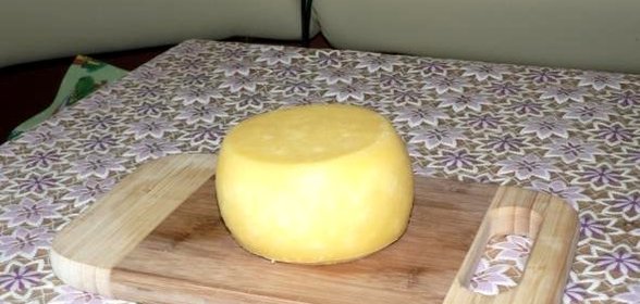 Сыр белорусский в домашних условиях