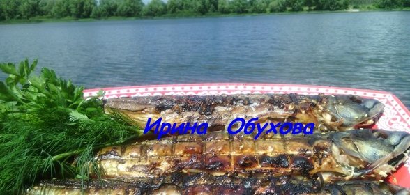 Скумбрия на мангале