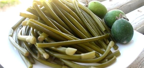 Маринованный зеленый лук на зиму