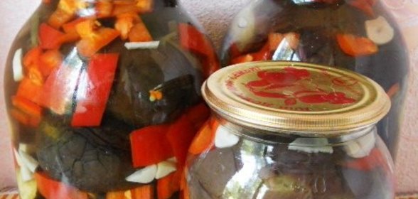 Баклажаны соленые