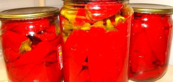 Перец горький на зиму