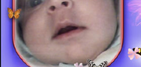 Плов «Зайка моя»