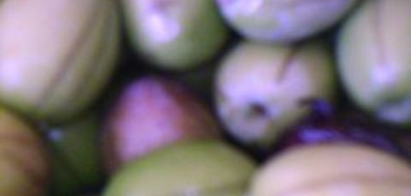 заготовка на зиму:зелёные оливки