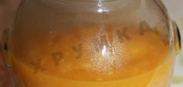 Ткемали из алычи