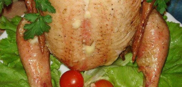 Курица на банке (вариация)